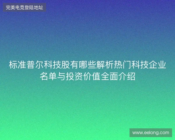 标准普尔科技股有哪些解析热门科技企业名单与投资价值全面介绍 标准普尔科技股有哪些解析热门科技企业名单与投资价值全面介绍